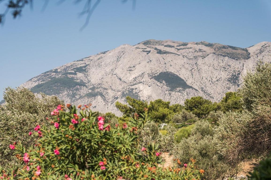 Vigla-Βίγλα 1 2 Villa Ormos  Luaran gambar