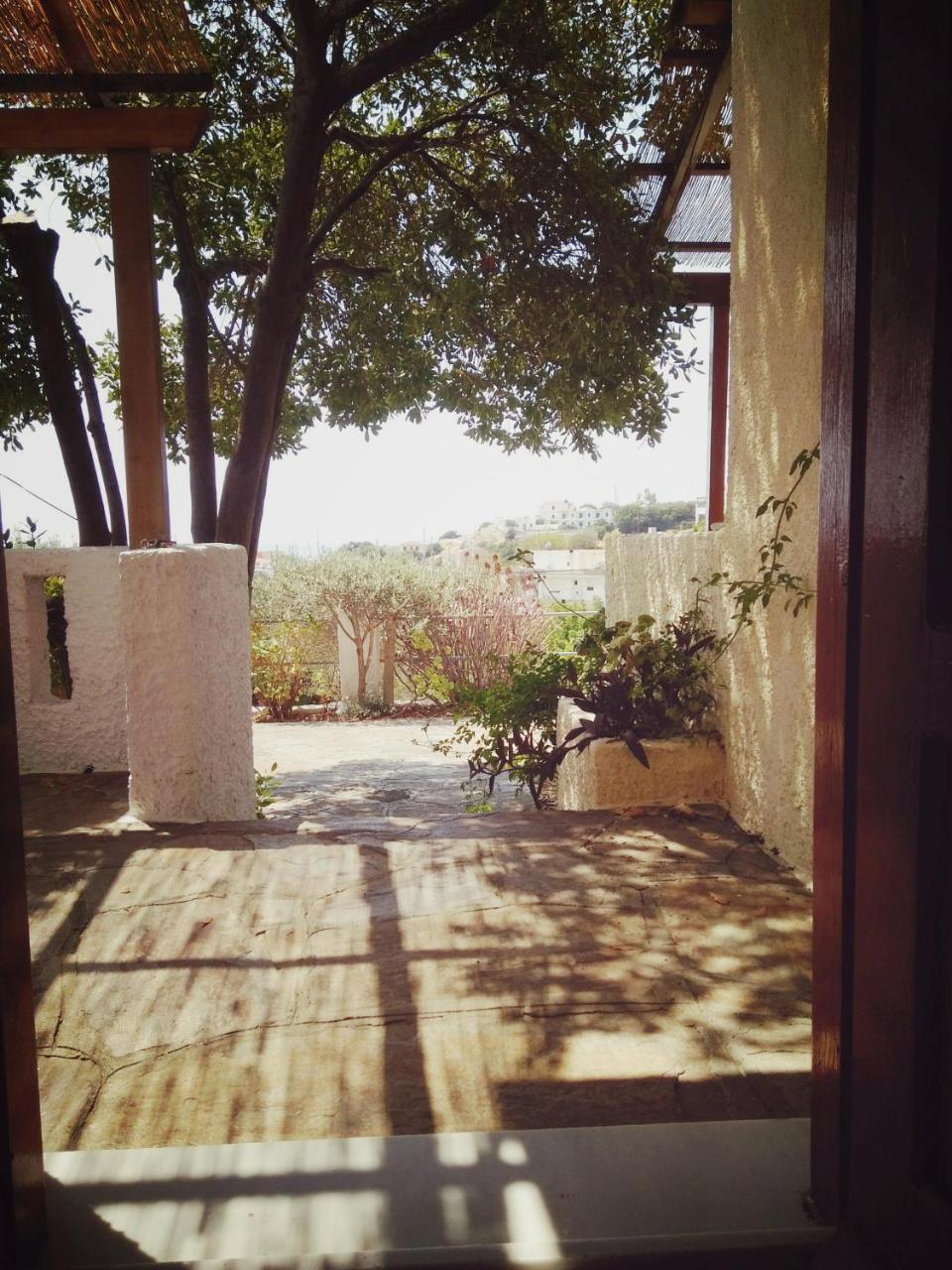 Vigla-Βίγλα 1 2 Villa Ormos  Luaran gambar