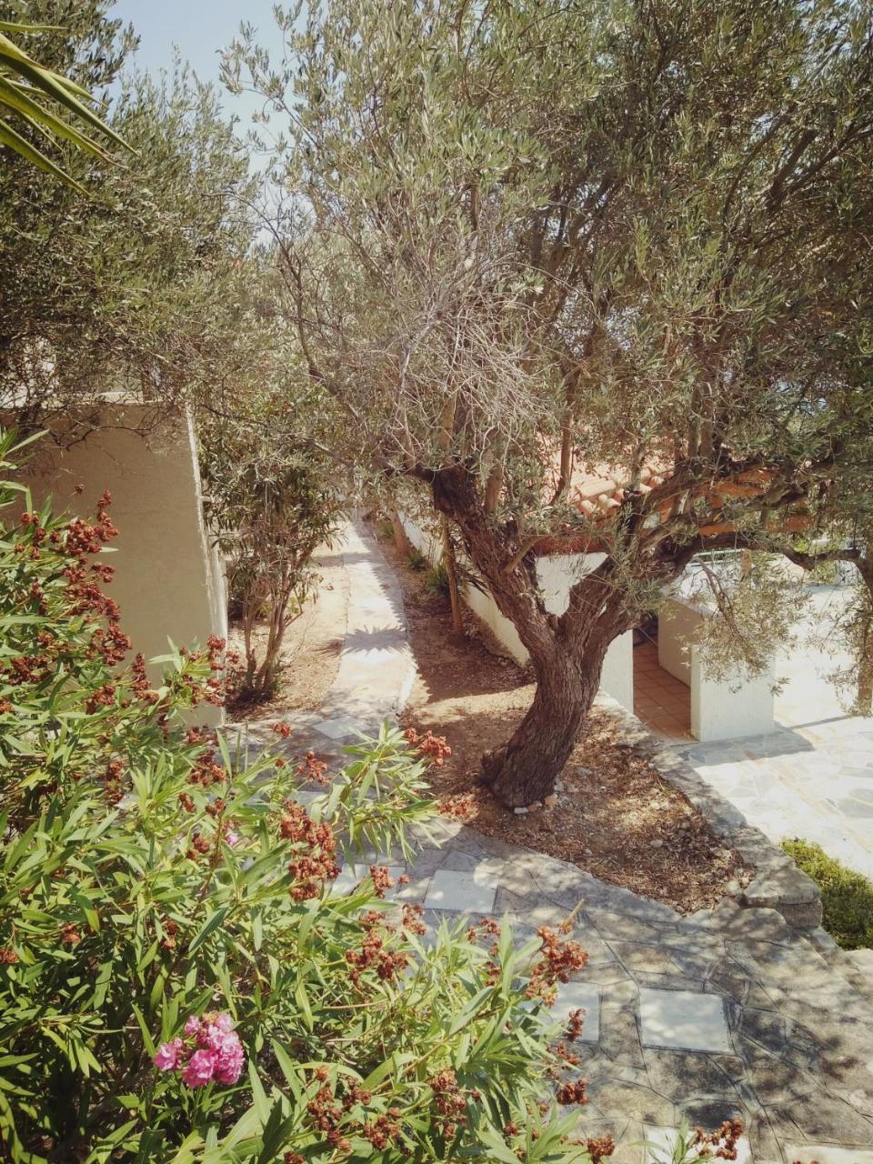 Vigla-Βίγλα 1 2 Villa Ormos  Luaran gambar