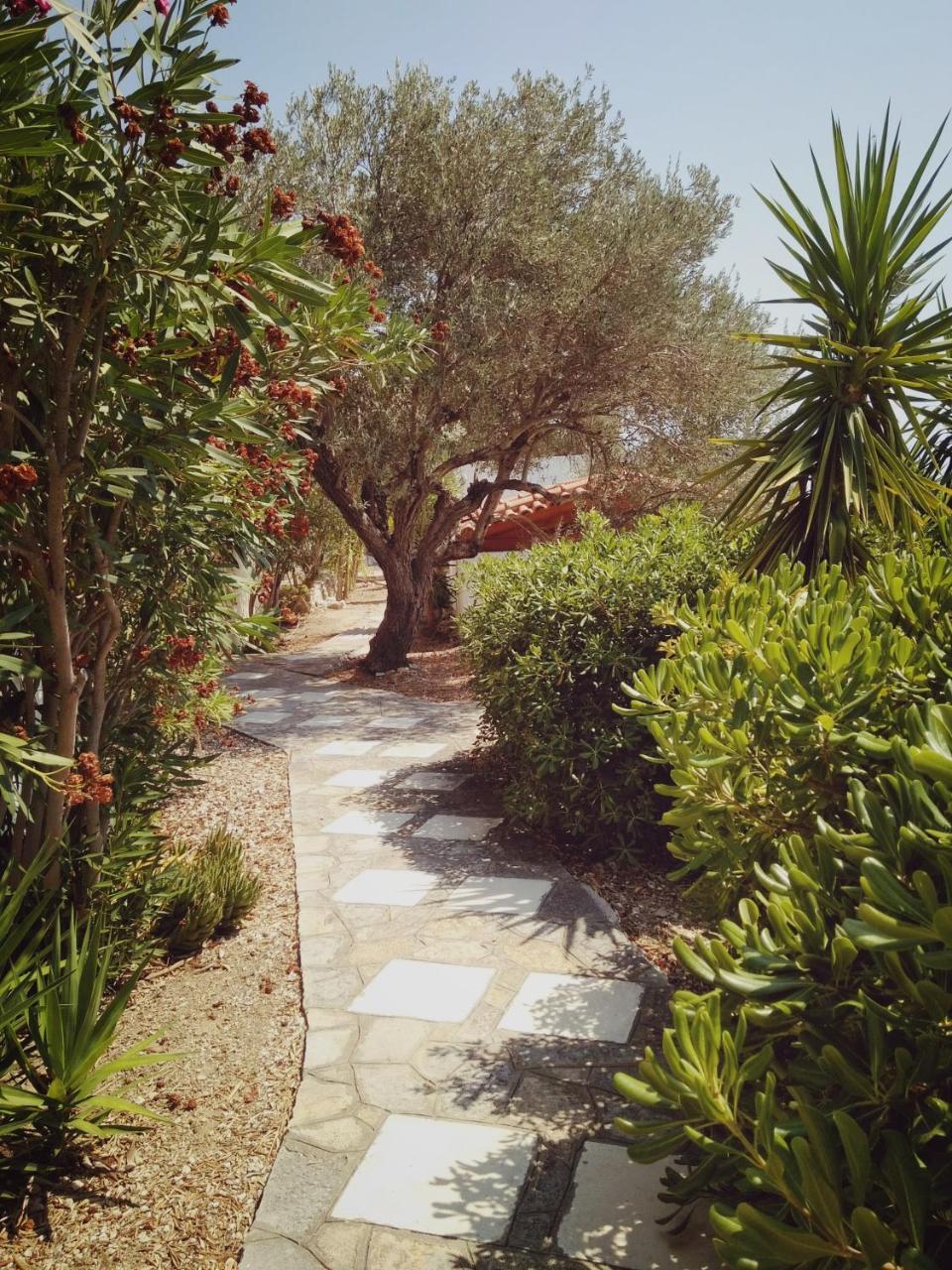 Vigla-Βίγλα 1 2 Villa Ormos  Luaran gambar