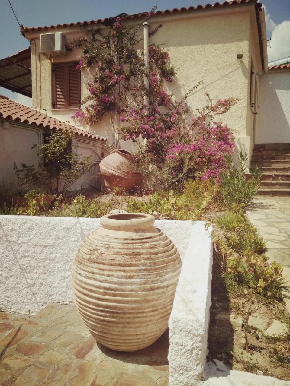 Vigla-Βίγλα 1 2 Villa Ormos  Luaran gambar